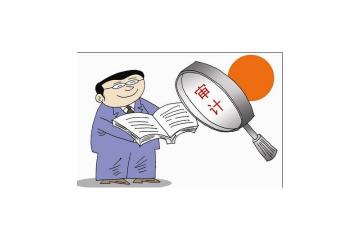 投标审计整改报告上海辉湃企业管理供应